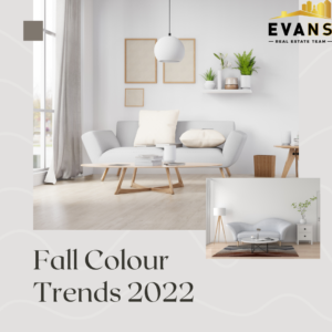Paint Colour Trends for Your Home