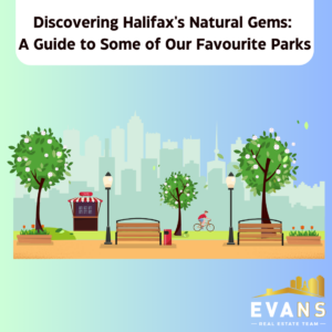 Discovering Halifax's Natural Gems: A Guide to Some of Our Favourite Parks